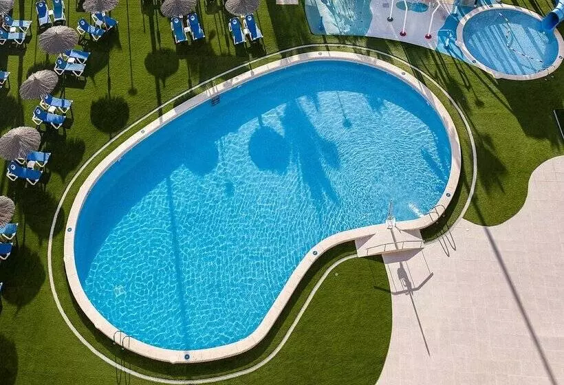 فندق Playas De Torrevieja