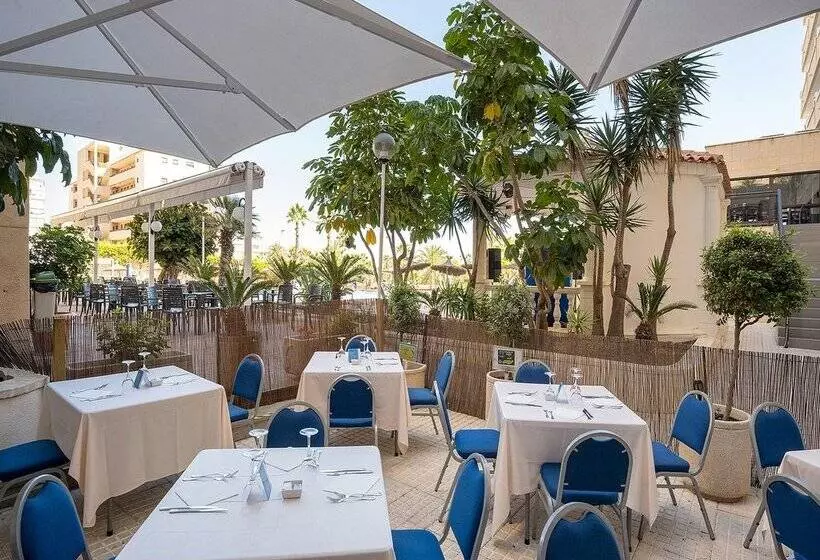 فندق Playas De Torrevieja