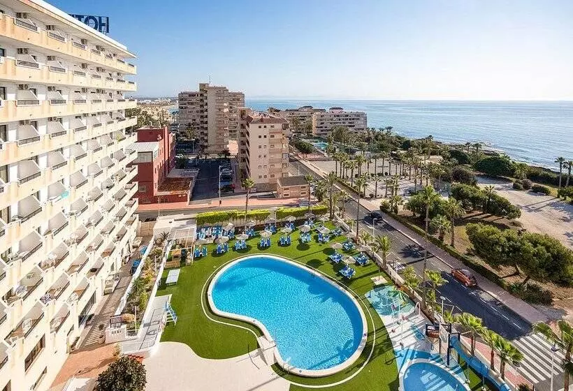 فندق Playas De Torrevieja