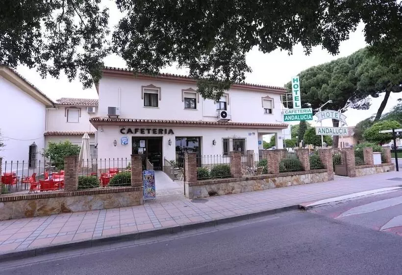 فندق Andalucia
