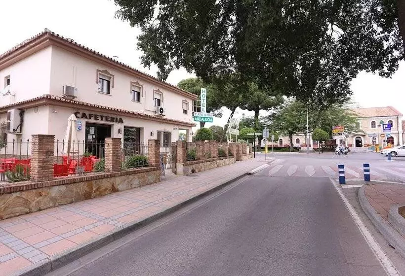 فندق Andalucia