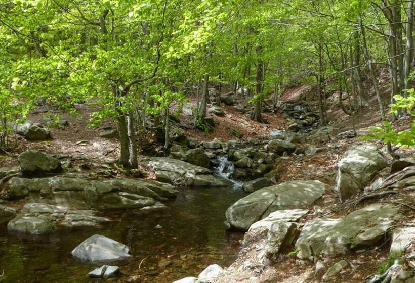 Hôtel Hostal L Avet Blau