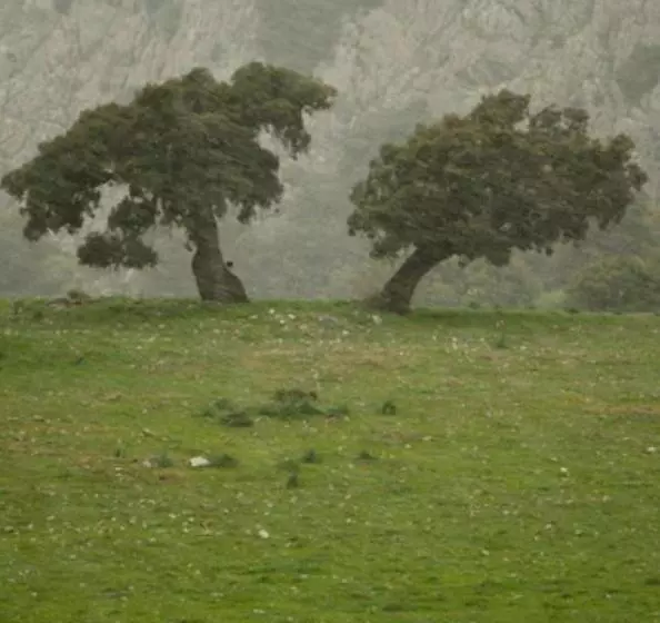 교외 호텔 Rural Palacete De Mañara