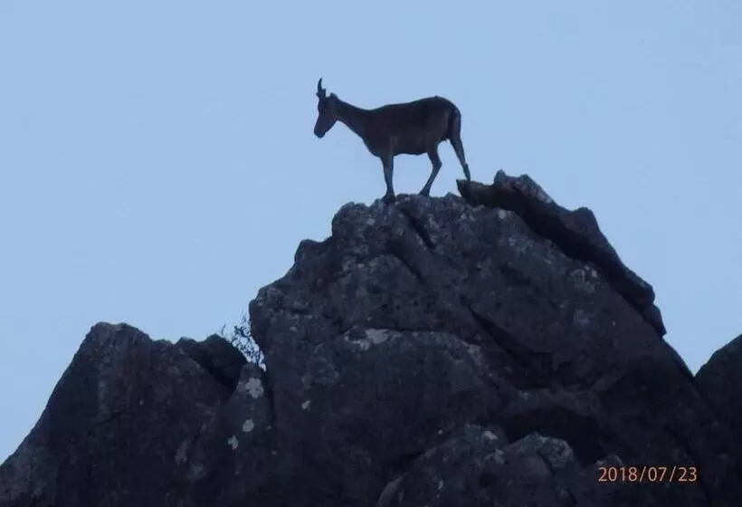 교외 호텔 Rural Palacete De Mañara