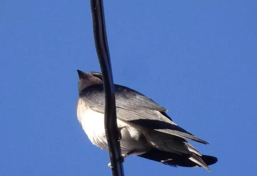 교외 호텔 Rural Palacete De Mañara