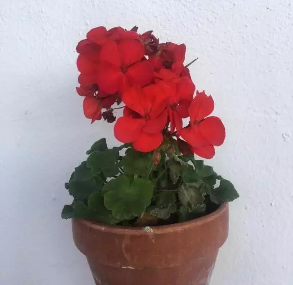 교외 호텔 Rural Palacete De Mañara