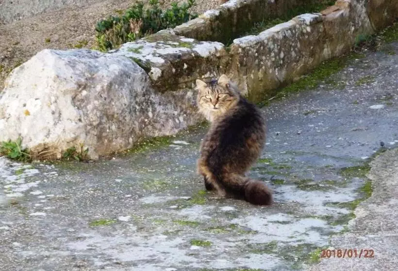 교외 호텔 Rural Palacete De Mañara