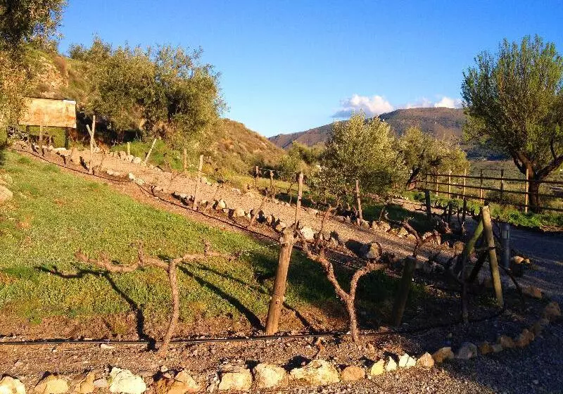 Villa Turistica De Laujar De Andarax