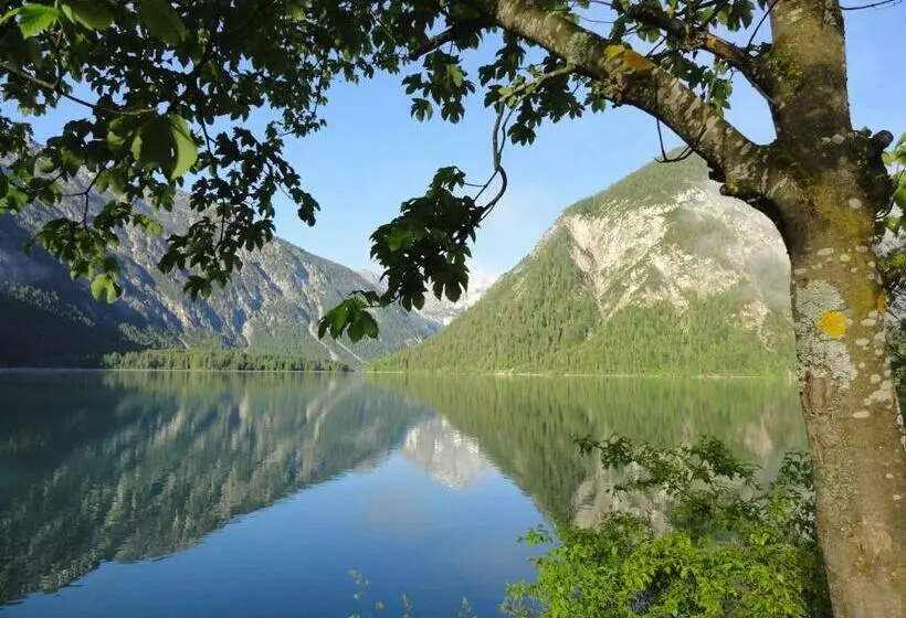 Alpenhotel Ammerwald