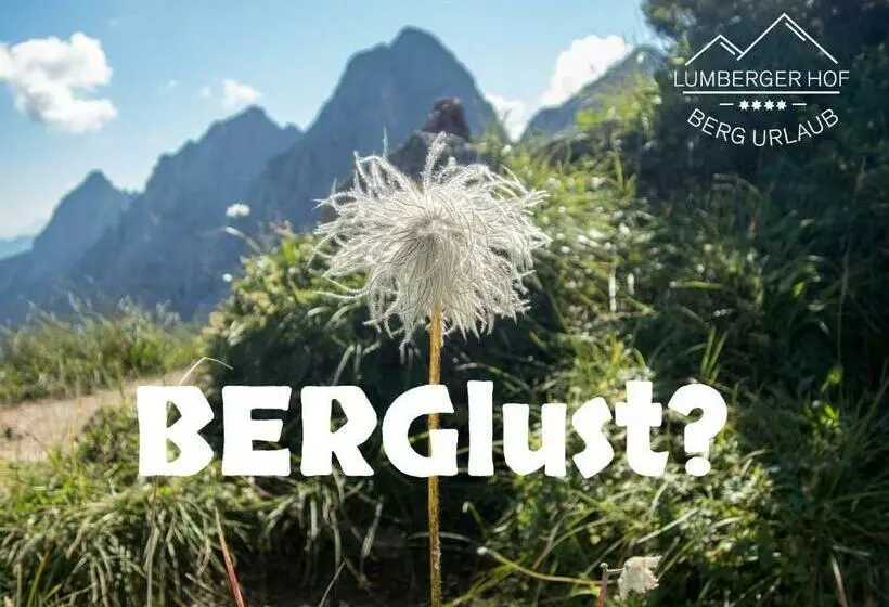 Отель Lumberger Hof