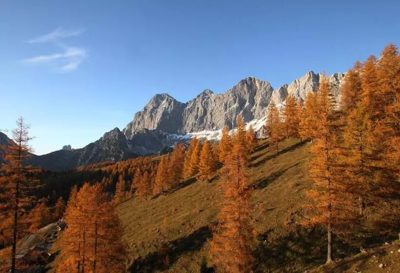 Отель Pichlmayrgut