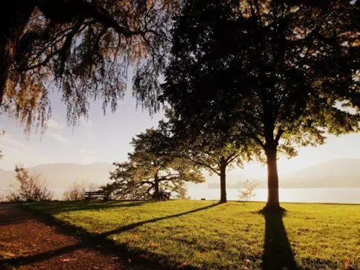 ホテル Restaurant Häupl