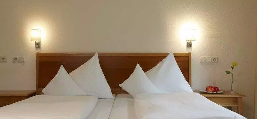 בית מלון כפרי Scesaplana