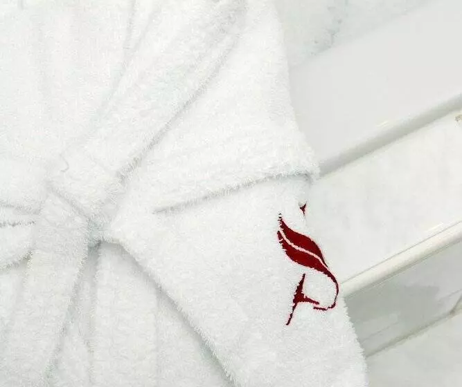 בית מלון כפרי Scesaplana