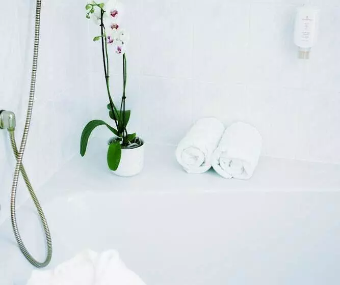 בית מלון כפרי Scesaplana