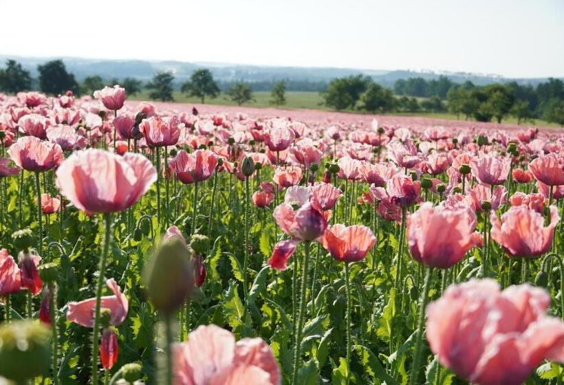 Schlosshotel Rosenau Superior