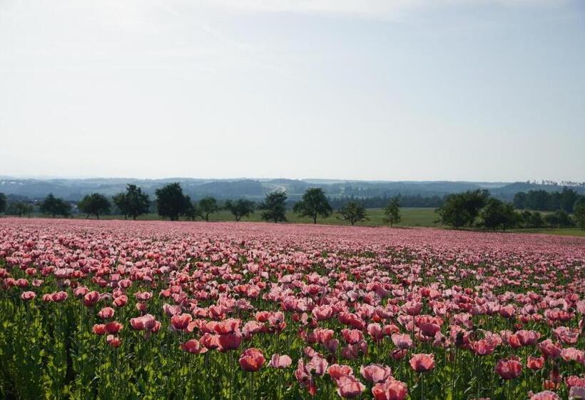 Schlosshotel Rosenau Superior