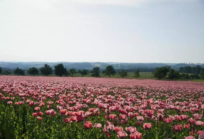 Schlosshotel Rosenau Superior