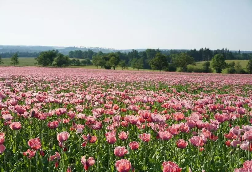 Schlosshotel Rosenau Superior