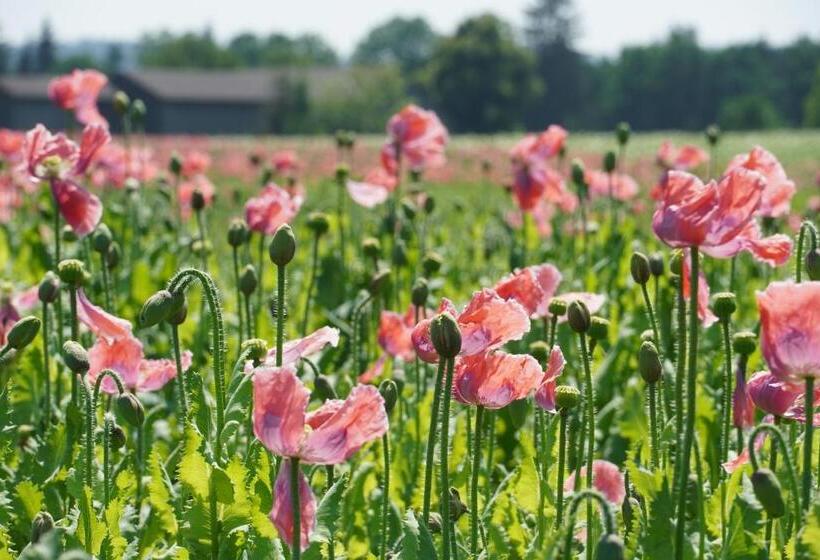 Schlosshotel Rosenau Superior