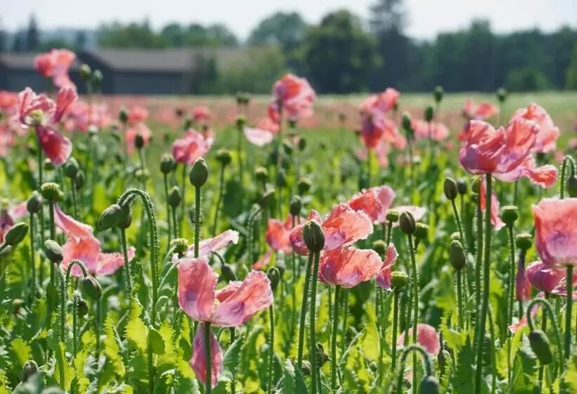 Schlosshotel Rosenau Superior