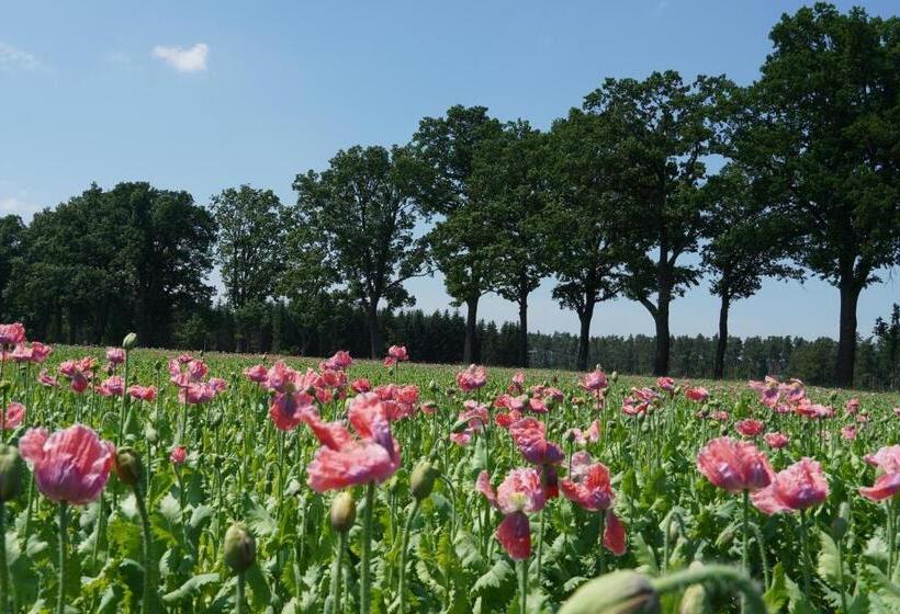 Schlosshotel Rosenau Superior