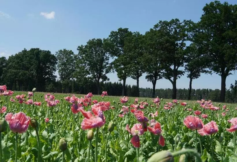 Schlosshotel Rosenau Superior