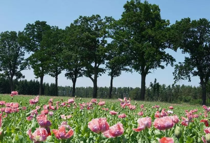 Schlosshotel Rosenau Superior