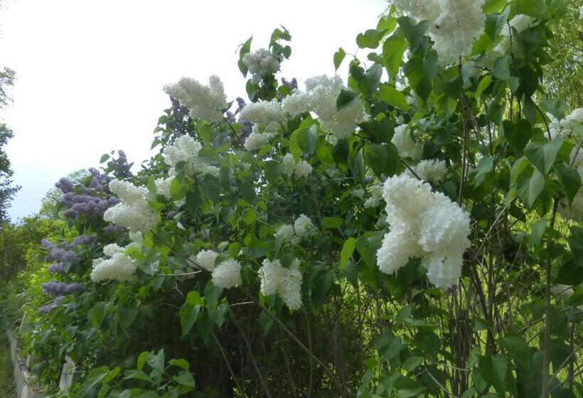 Schlosshotel Rosenau Superior