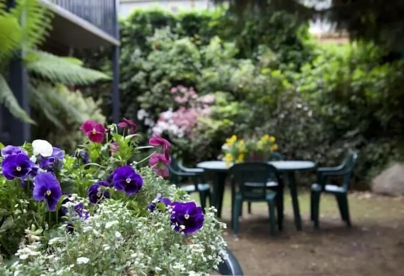 בית מלון כפרי Armour Motor Inn