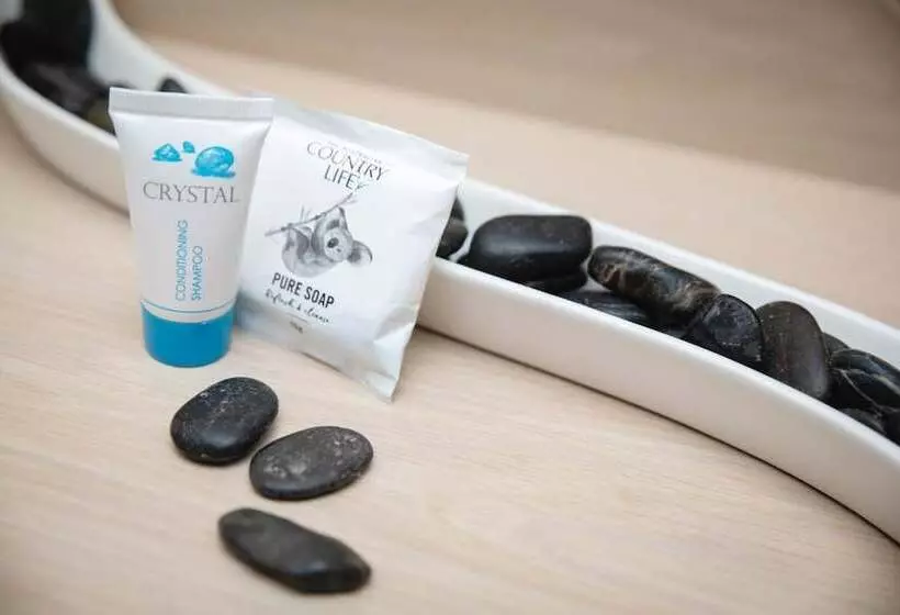 호텔 Castle Motor Lodge