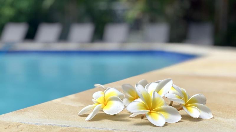 ホテル Hi Ho Holiday Homestead