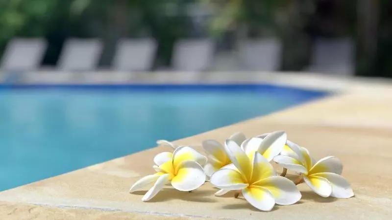 Hotel Hi Ho Holiday Homestead