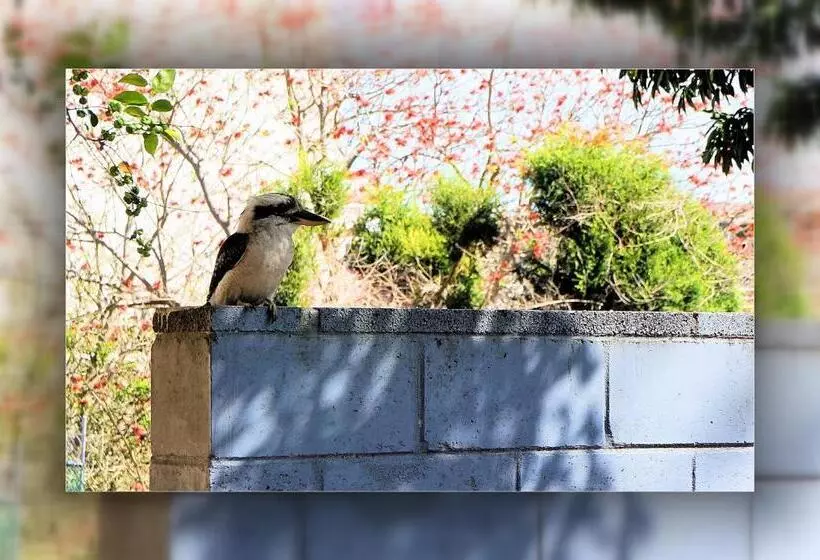 酒店 Panorama Motor Inn