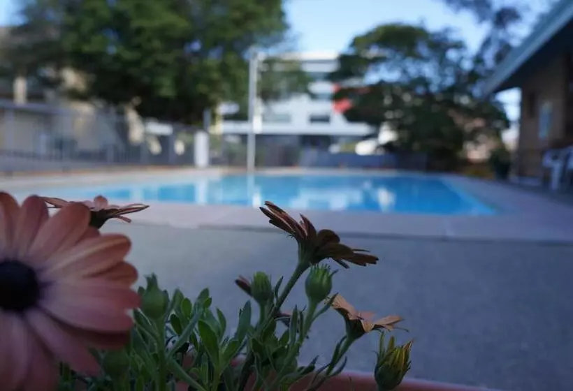 酒店 Panorama Motor Inn