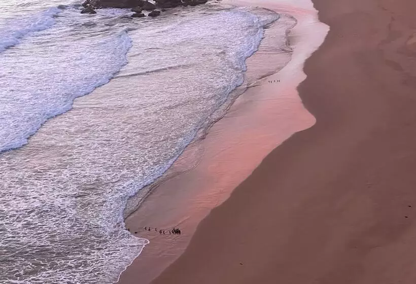 Отель Port Campbell Motor Inn