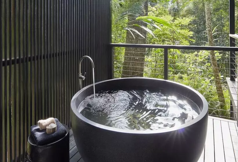 Отель Silky Oaks Lodge