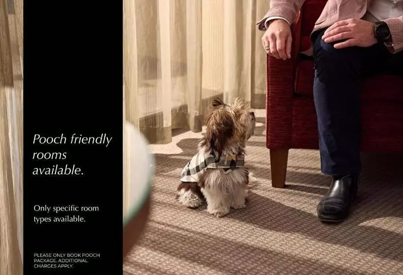 ホテル View Brisbane