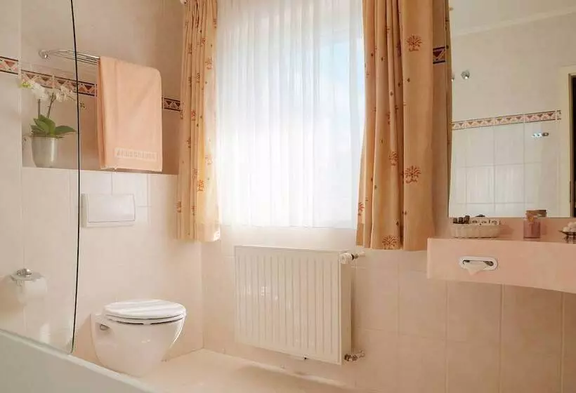 Отель Ambassador Bosten