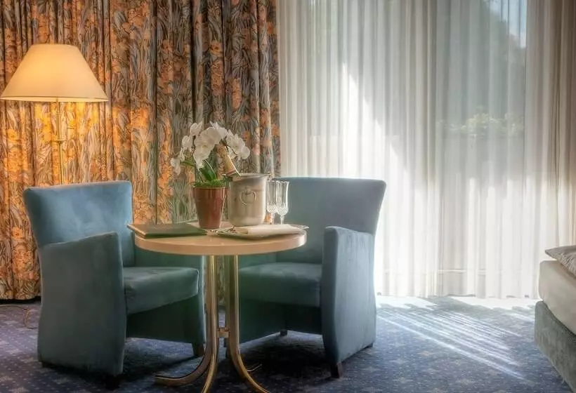 Отель Ambassador Bosten