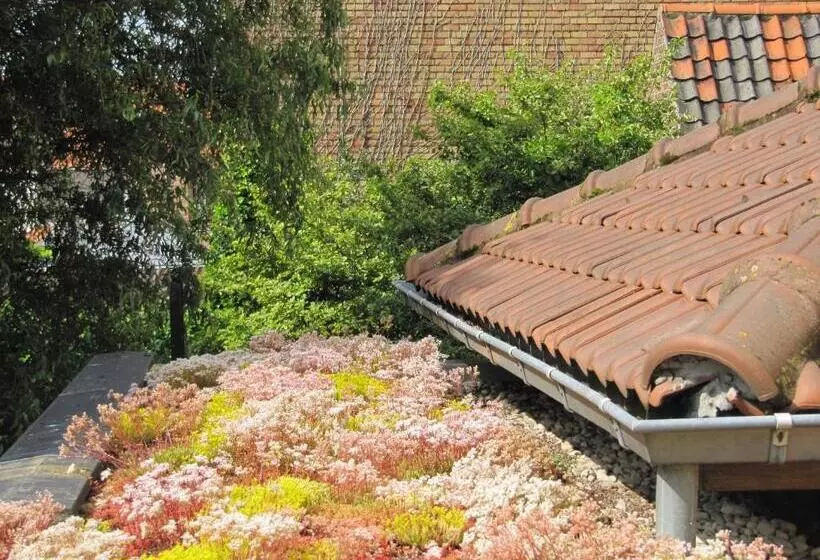 בית מלון כפרי Fevery