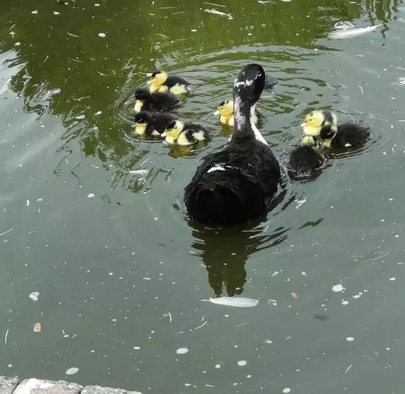 ホテル La Cote D Or