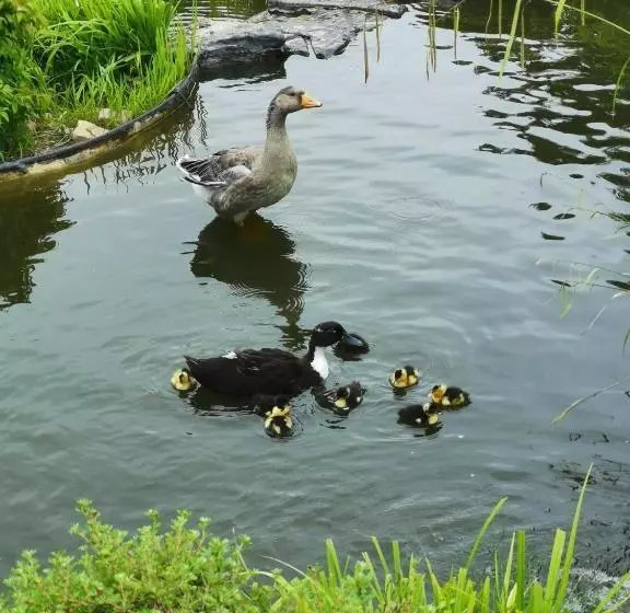 ホテル La Cote D Or