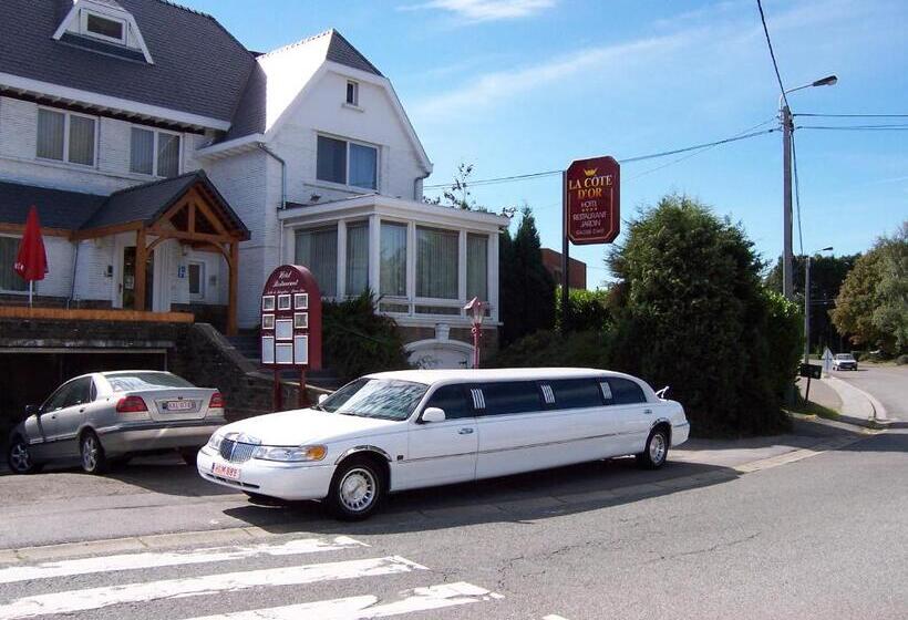 فندق La Cote D Or