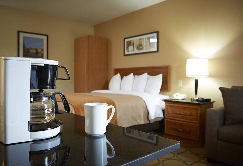 Отель Comfort Inn