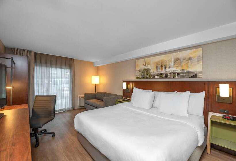 فندق Comfort Inn South