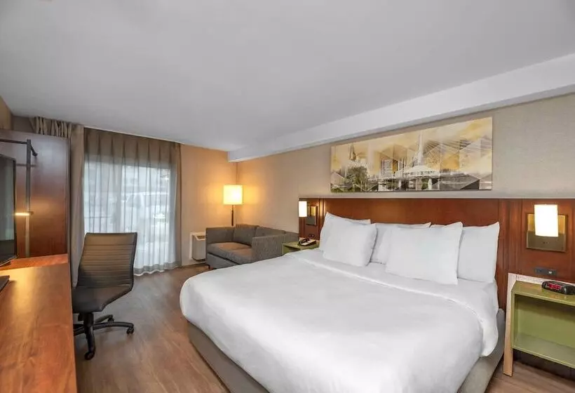 호텔 Comfort Inn South