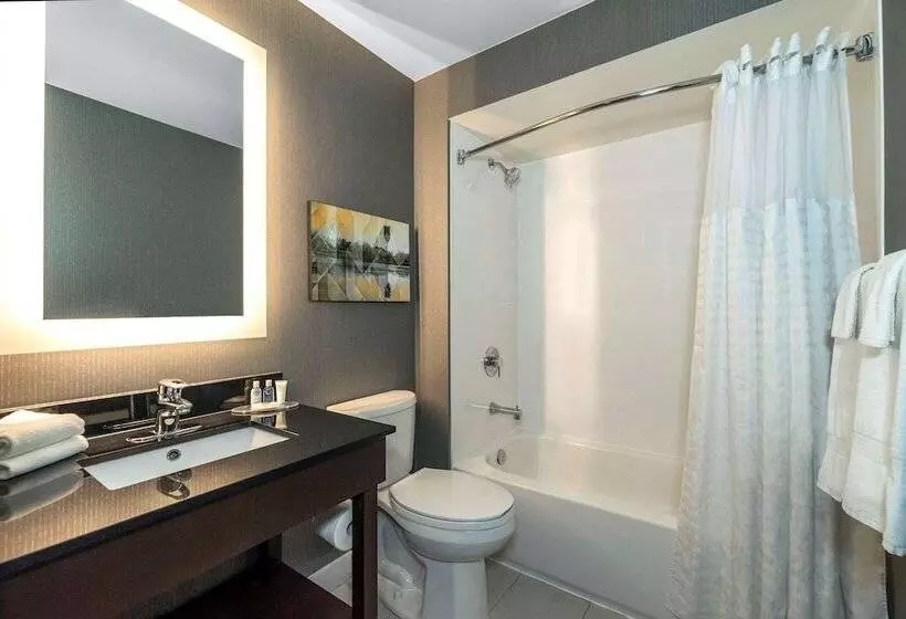 호텔 Comfort Inn South