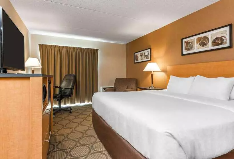 Отель Comfort Inn