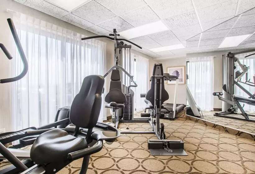 Отель Comfort Inn